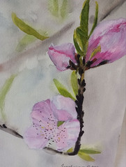 original watercolor painting gorgeous pink flowers blossom branch in bokeh style