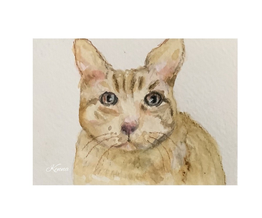 Aceo By Kenna Painting Original HP Ginger Cat Portrait 2.5” X 3.5 Signed