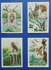Postal Whimsy™ ACEO Set – OOAK 4‑Pane Wildlife Conservation Owl Stamps –