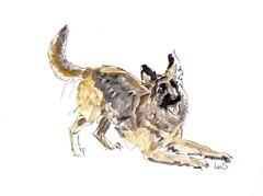 SAMATOWIC Original Abstract German Shepard 9×12 Handmade Signed Fine Art 25