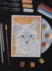 Lynx point Siamese kitten, cat, original art, animals and nature, wall art