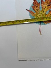 Original Painting Maple Leaf Fall Autumn Botanical By Gilliland Watercolor Mixed