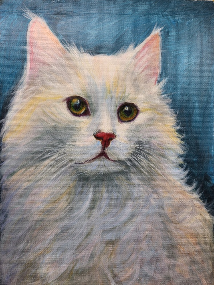 Original Painting of a cat, 9×12 inches, Original oil Painting