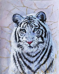 White Tiger Painting Wild cat Animals Portrait Art Original Paintings