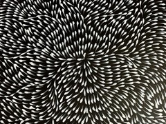 Roseanne Morton Petyar, Authentic Aboriginal Art.Size,100cm x 50cm Medicine Leaf