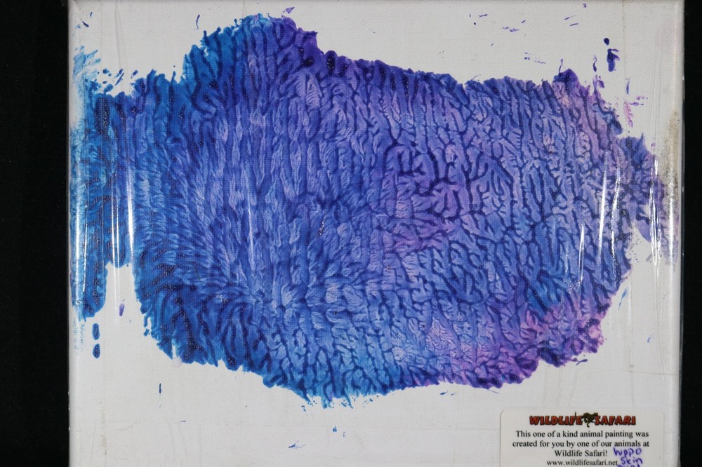 Animal Art Canvas Hippopotamus Hippo Skin Imprint Painting Profits to Charity