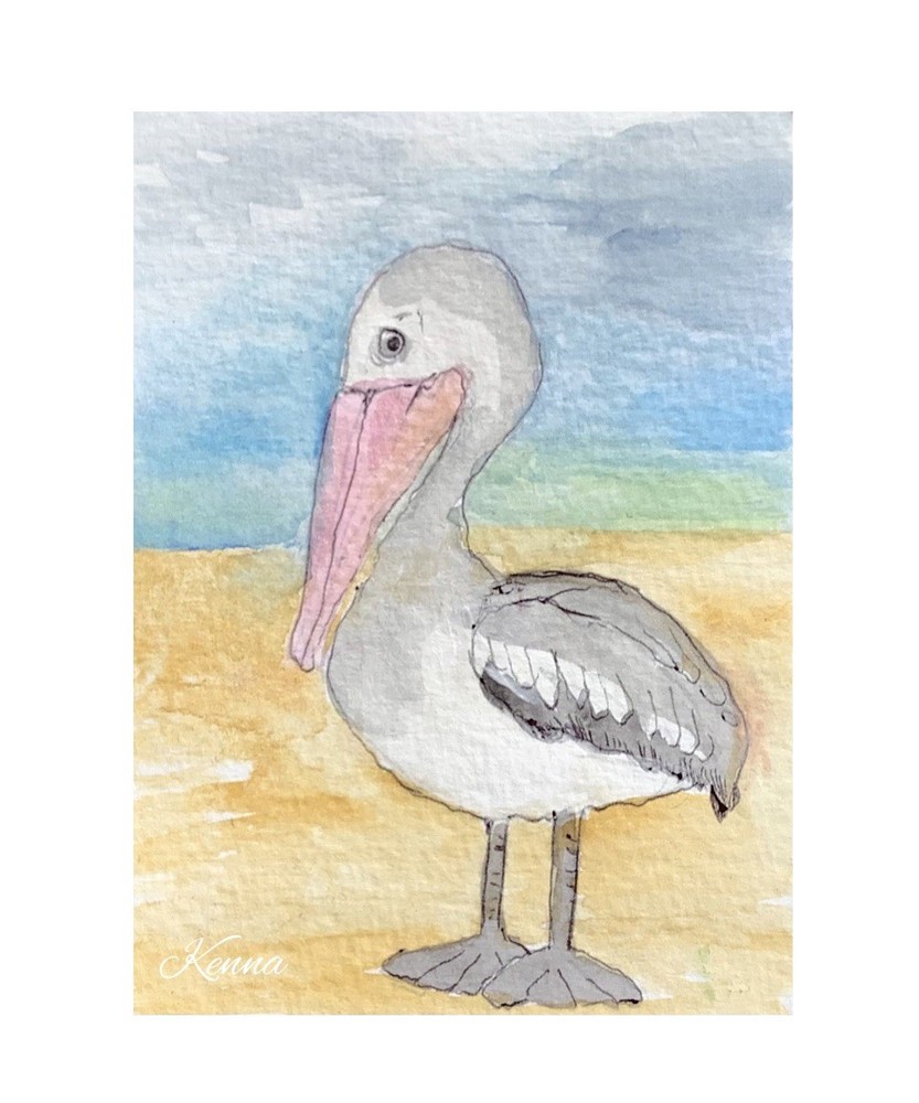 Aceo By Kenna Painting Pelican bird Art 2.5” X 3.5” Signed