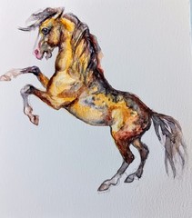 Original watercolor painting,equine,Horse running art burnt orange tealblue 6×7″