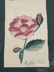 1824 American Folk Art Friendship Tokens From The Hale Family Of Pennsylvania