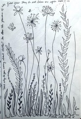 Flora Pen & Ink 5.5″x8 5″ Original Drawing Flowers & Grasses on Paper