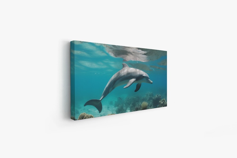 Dolphin Ocean Photo Print Art, Coral Reef Picture Wall Decor, Landscape Print