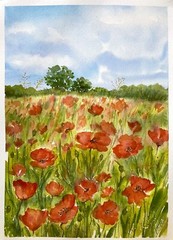 Poppies Flowers Oak Tree Watercolor Original Painting