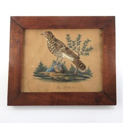 German Watercolor Bird Feather Painting „Die Birkhenne“ Framed Antique