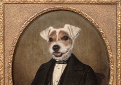19th Portrait of A Victorian Gentleman & Head Of A Jack Russell Terrier Dog