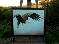 Majestic American Eagle in Flight, an Original Oil Painting. Excellent Conditon.