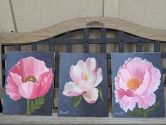Poppy 11x14x0.5 in. 100% Hand Painted Oil On Canvas IS NOT A PRINT, Unframed