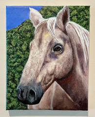 Horse Portrait Painting Realism Small Canvas Animals Unframed