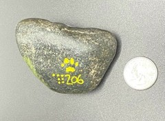 HAND PAINTED RIVER STONE ART “ Nature w Saying“ by Yellow Paw Collectible Rocks