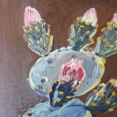Cactus in Bloom – Original Oil Painting 10×12″