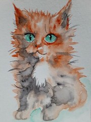 Original Ginger maine coon cat art painting,pet lover best gift,orange kitten