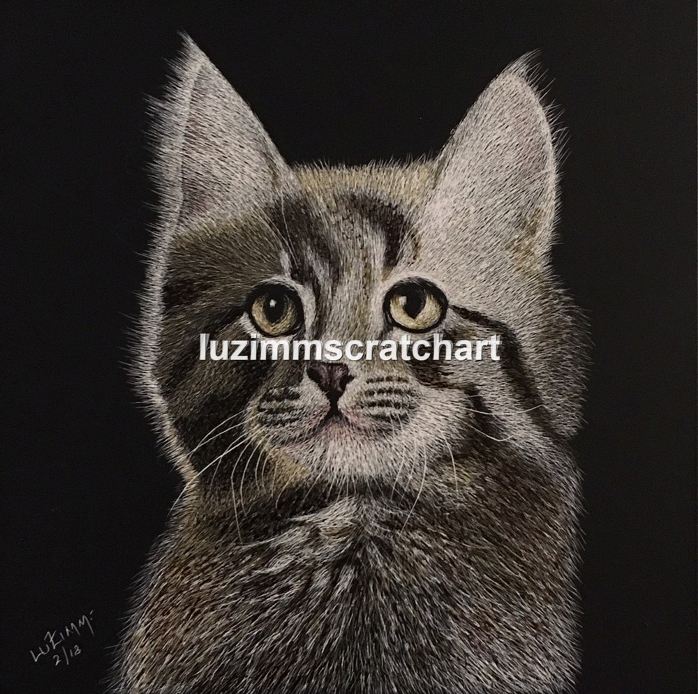 Scratch Art Original Signed on Ampersand Pro Board 6″x6″ Kitten Profile
