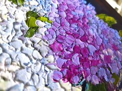 Lilac Oil Painting Impasto Art Flower Still Life on Canvas Board 30x20cm Signed