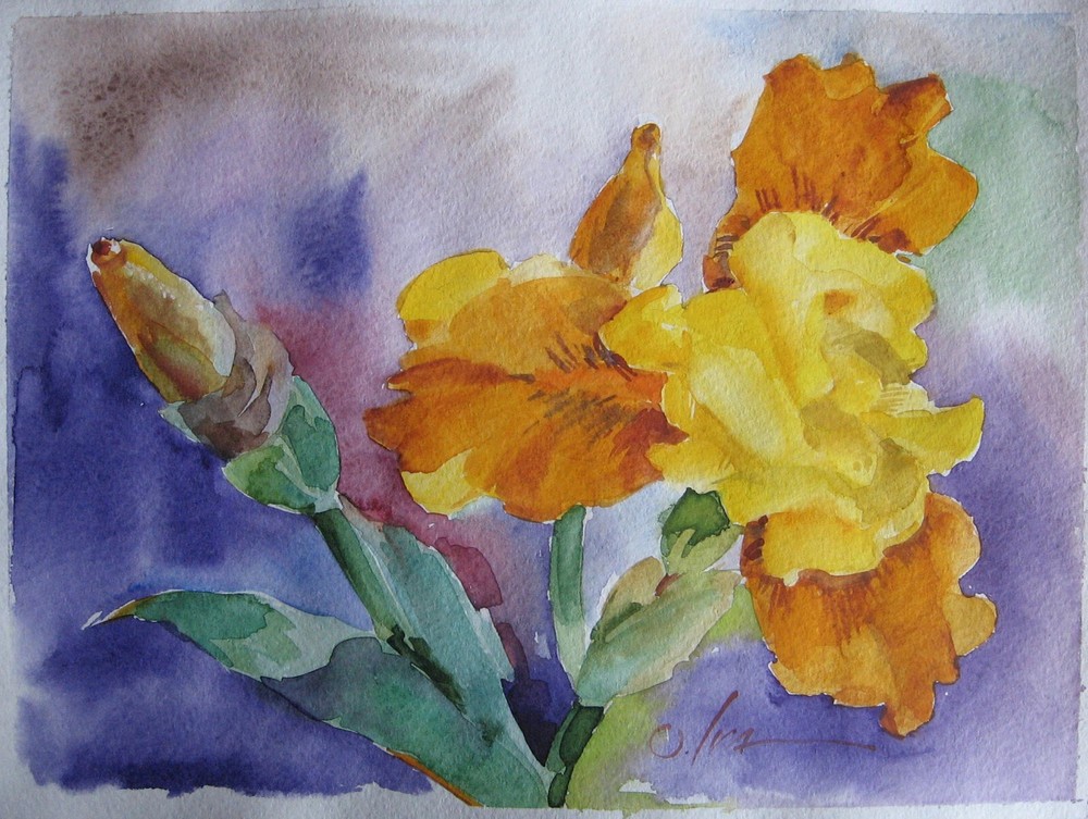 Original modern painting Watercolor yellow iris flower Hand painted art 8х11″