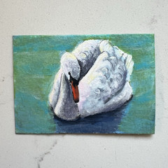 Signed Original ACEO Swan on Water Miniature Painting Animal Bird Wildlife