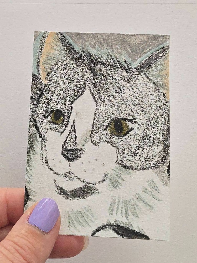 ACEO Original | Black and White Kitten Cat Semi Realistic | TheCottageFoxStudios