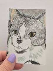 ACEO Original | Black and White Kitten Cat Semi Realistic | TheCottageFoxStudios