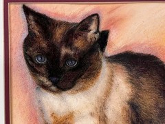 VTG Art Siamese Cat Pastel Painting Framed Matted Blue Eyes 16”X 13” Signed