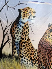Oil Painting of Cheetahs on African Landscape 20×30 Vivid Colors Wild Animal
