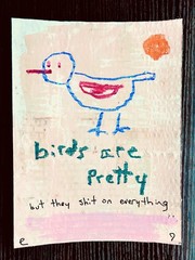 e9Art ‚birds are pretty (but they sh*t on everything)‘ naive childlike art brut
