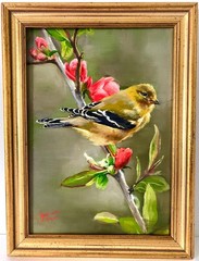 GOLDFINCH AND CONEFLOWER ~ Realistic Oil Painting on Board ~ FREE SHIPPING