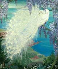 White peacock Animals paintings picture Wall Art Giclee Printed on canvas P288