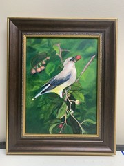 original oil painting Cherry Cedar Waxwing bird Eating Cherry signed Biggerstaff