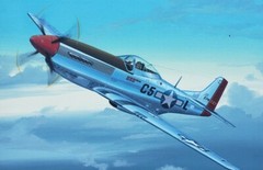Original Raymond Waddey Painting Aviation Art US Air Force P51 Mustang Aircraft