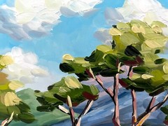 Hill Country Wildflowers Oil Painting Original Austin Texas Landscape 8×10 in