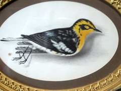Orig. 1835 Watercolor Painting Signed M. Thompson Antique Miniature Framed Bird