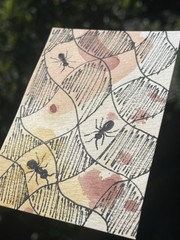 Summer Picnic original ACEO Watercolor painting Insect nature garden OOAK bug