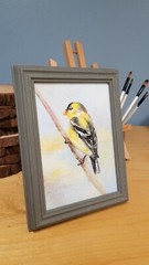 Goldfinch. Original oil painting Backyard bird art. 5×7. Canvas board.