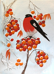 Bullfinch, original hand painted