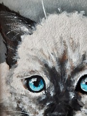 Siamese Cat Original Painting Pet Art Framed 7 x 5 Cat Blue Eyes Oil Painting
