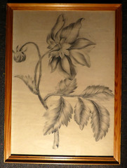 ANTIQUE ORIGINAL DRAWING PENCIL LINA EMILIA AMPT 19TH CENTURY RESTSTATT?