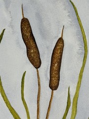Painting by Michele G. Hackney Cattail Watercolor, Signed, Original, 10.25×7 COA