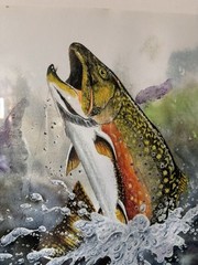 Brook trout Fly Fishing Watercolor Print Art Signed Artiist FLY FISHING