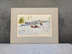 Vintage ’78 Original Art Signed Rogers „Sandpiper Birds“ Watercolor Painting