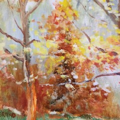 PAUL BRAND ORIGINAL ACRYLIC ON CANVAS BOARD FALL 13 by 12 inches
