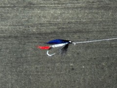 Sporting Painting Sea Trout Nearly Hooked The Silver Zulu Fly By Roger McPhail