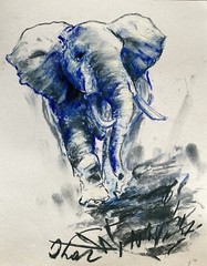 Impressionism Pastel Painting Drawing Dorothy Laz Elephant